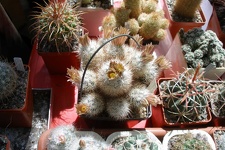 Выставка 20-22.04.2012 в &quot;Ваш сад&quot;