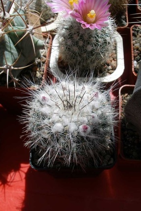 Выставка 20-22.04.2012 в &quot;Ваш сад&quot;