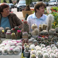 Выставка 21-22 апреля 2007 (Одесса)