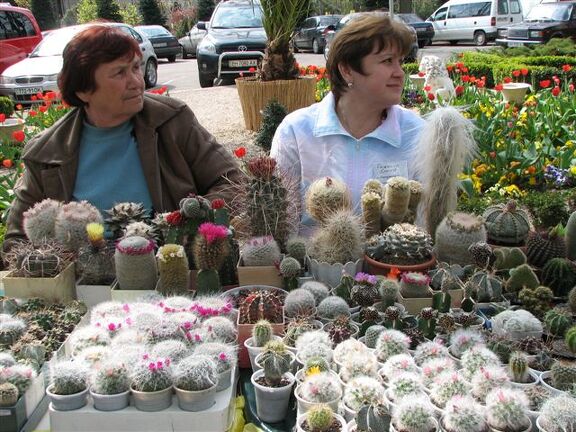 Выставка 21-22 апреля 2007 (Одесса)