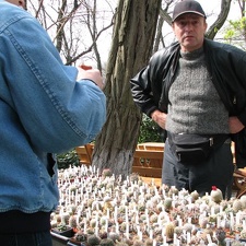 Выставка 21-22 апреля 2007 (Одесса)