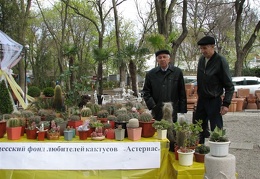 Выставка 21-22 апреля 2007 (Одесса)