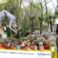 Выставка 21-22 апреля 2007 (Одесса)