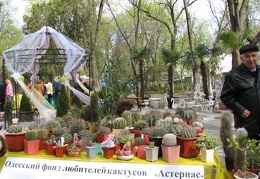 Выставка 21-22 апреля 2007 (Одесса)