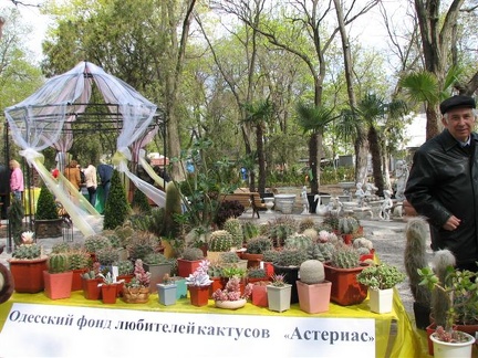 Выставка 21-22 апреля 2007 (Одесса)