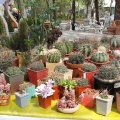 Выставка 21-22 апреля 2007 (Одесса)