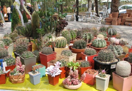 Выставка 21-22 апреля 2007 (Одесса)