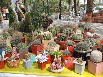 Выставка 21-22 апреля 2007 (Одесса)