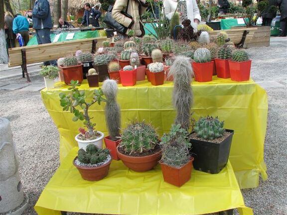 Выставка 21-22 апреля 2007 (Одесса)