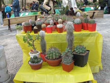 Выставка 21-22 апреля 2007 (Одесса)