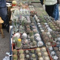 Выставка 21-22 апреля 2007 (Одесса)