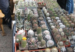 Выставка 21-22 апреля 2007 (Одесса)