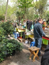 Выставка 21-22 апреля 2007 (Одесса)