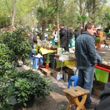 Выставка 21-22 апреля 2007 (Одесса)