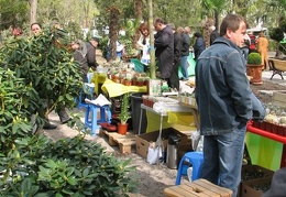 Выставка 21-22 апреля 2007 (Одесса)