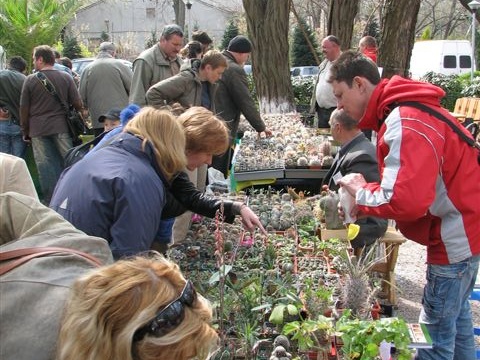 Выставка 21-22 апреля 2007 (Одесса)