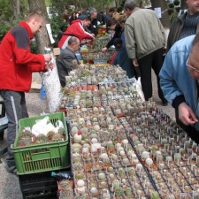 Выставка 21-22 апреля 2007 (Одесса)