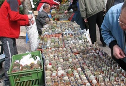 Выставка 21-22 апреля 2007 (Одесса)