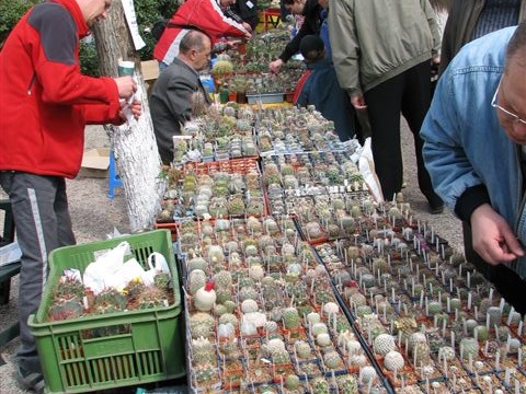 Выставка 21-22 апреля 2007 (Одесса)