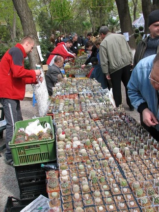 Выставка 21-22 апреля 2007 (Одесса)