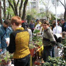 Выставка 21-22 апреля 2007 (Одесса)