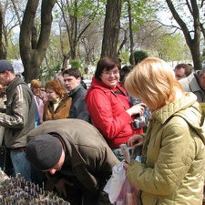 Выставка 21-22 апреля 2007 (Одесса)