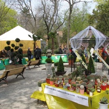 Выставка 21-22 апреля 2007 (Одесса)