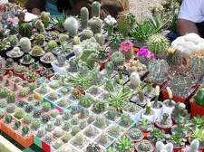 Выставка 21-22 апреля 2007 (Одесса)