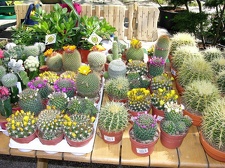 Выставка 21-22 апреля 2007 (Одесса)