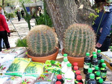 Выставка 21-22 апреля 2007 (Одесса)