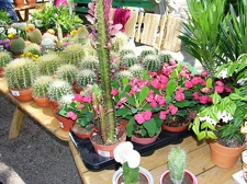 Выставка 21-22 апреля 2007 (Одесса)