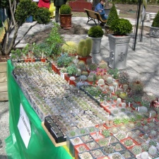 Выставка 21-22 апреля 2007 (Одесса)