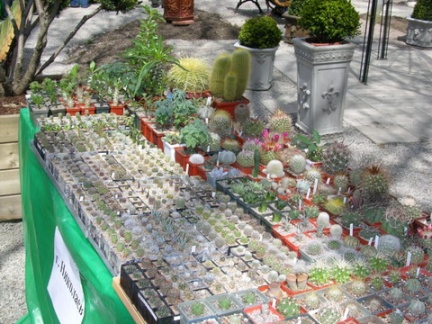 Выставка 21-22 апреля 2007 (Одесса)