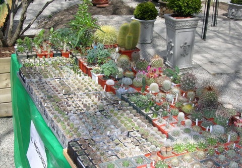 Выставка 21-22 апреля 2007 (Одесса)