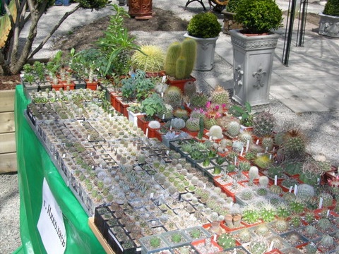 Выставка 21-22 апреля 2007 (Одесса)