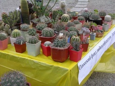 Выставка 21-22 апреля 2007 (Одесса)