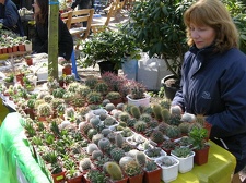 Выставка 21-22 апреля 2007 (Одесса)