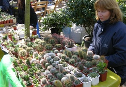 Выставка 21-22 апреля 2007 (Одесса)