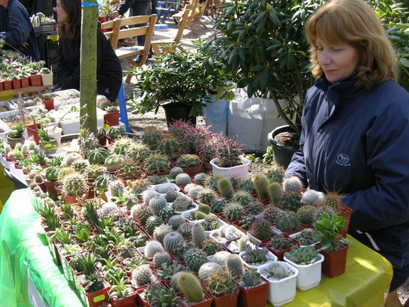 Выставка 21-22 апреля 2007 (Одесса)