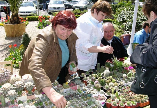 Выставка 21-22 апреля 2007 (Одесса)