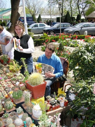 Выставка 21-22 апреля 2007 (Одесса)