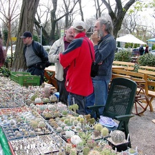 Выставка 21-22 апреля 2007 (Одесса)