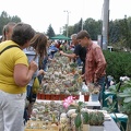 Выставка 23-25.09.2011 на Куликовом поле