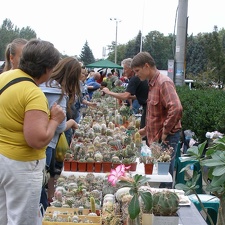 Выставка 23-25.09.2011 на Куликовом поле