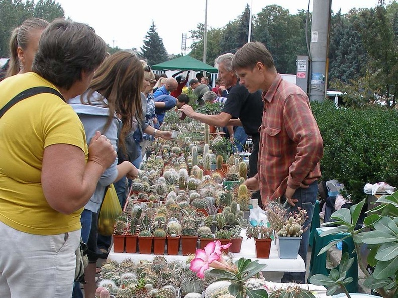 Выставка 23-25.09.2011 на Куликовом поле