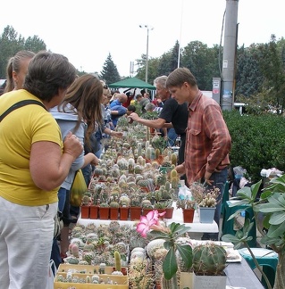 Выставка 23-25.09.2011 на Куликовом поле