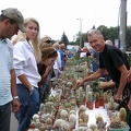 Выставка 23-25.09.2011 на Куликовом поле