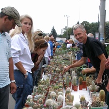 Выставка 23-25.09.2011 на Куликовом поле