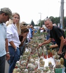 Выставка 23-25.09.2011 на Куликовом поле