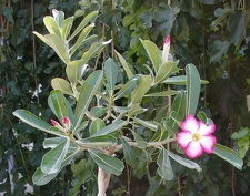 Выставка 23-25.09.2011 на Куликовом поле